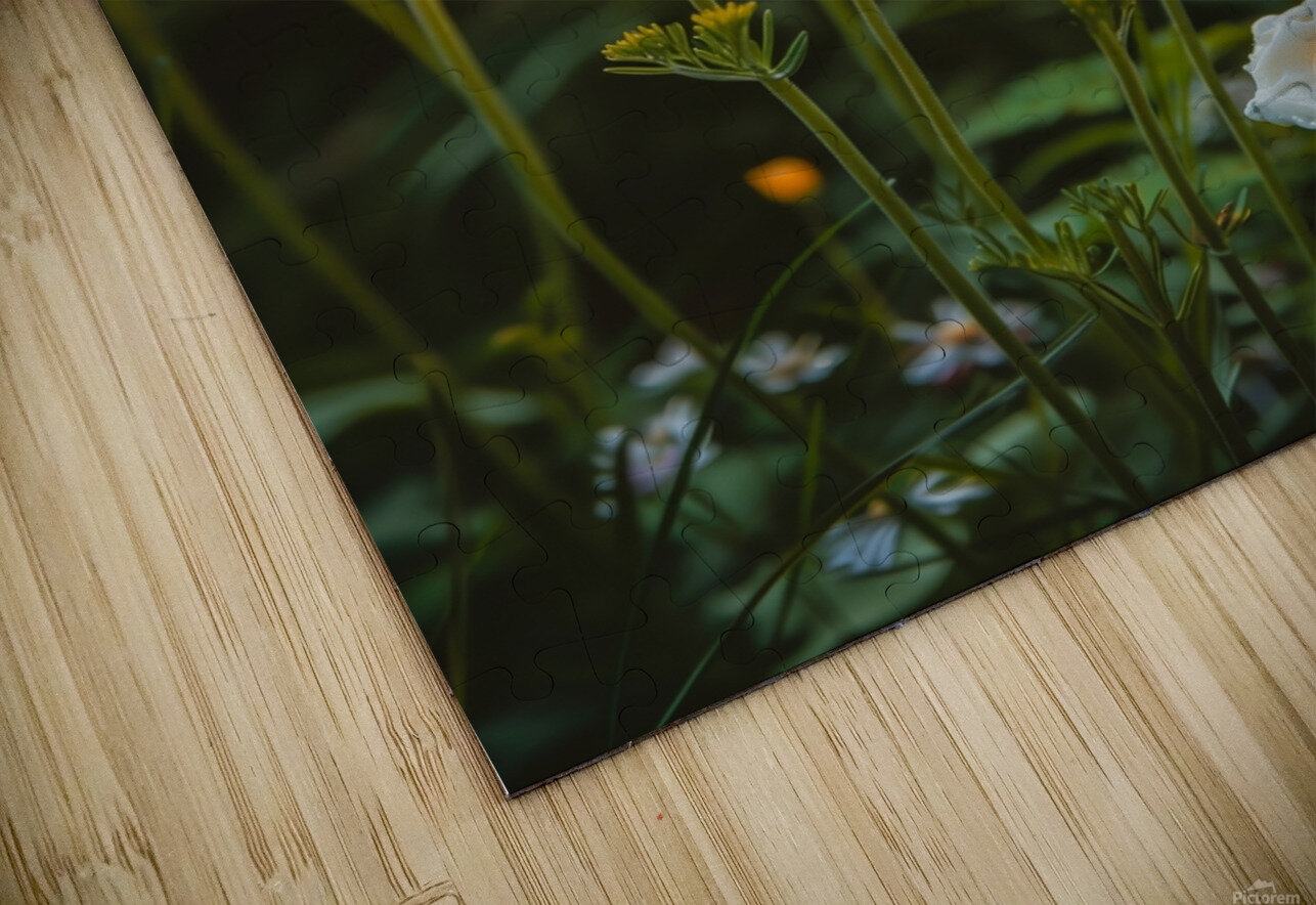 Sunny Side Up Garden Amigos Flipado Puzzle