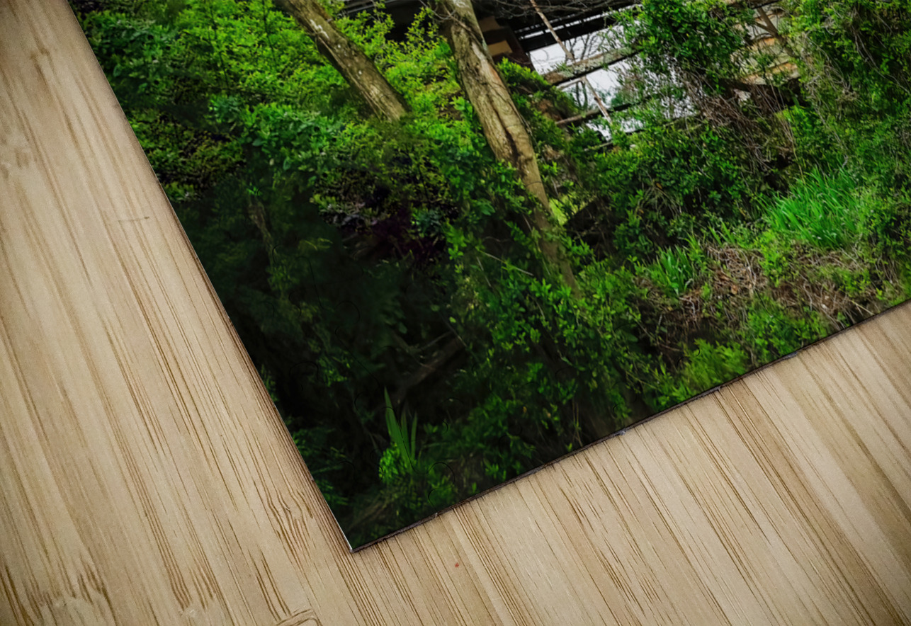 Historic Rocky Mount Shelia Hunt Photography Puzzle