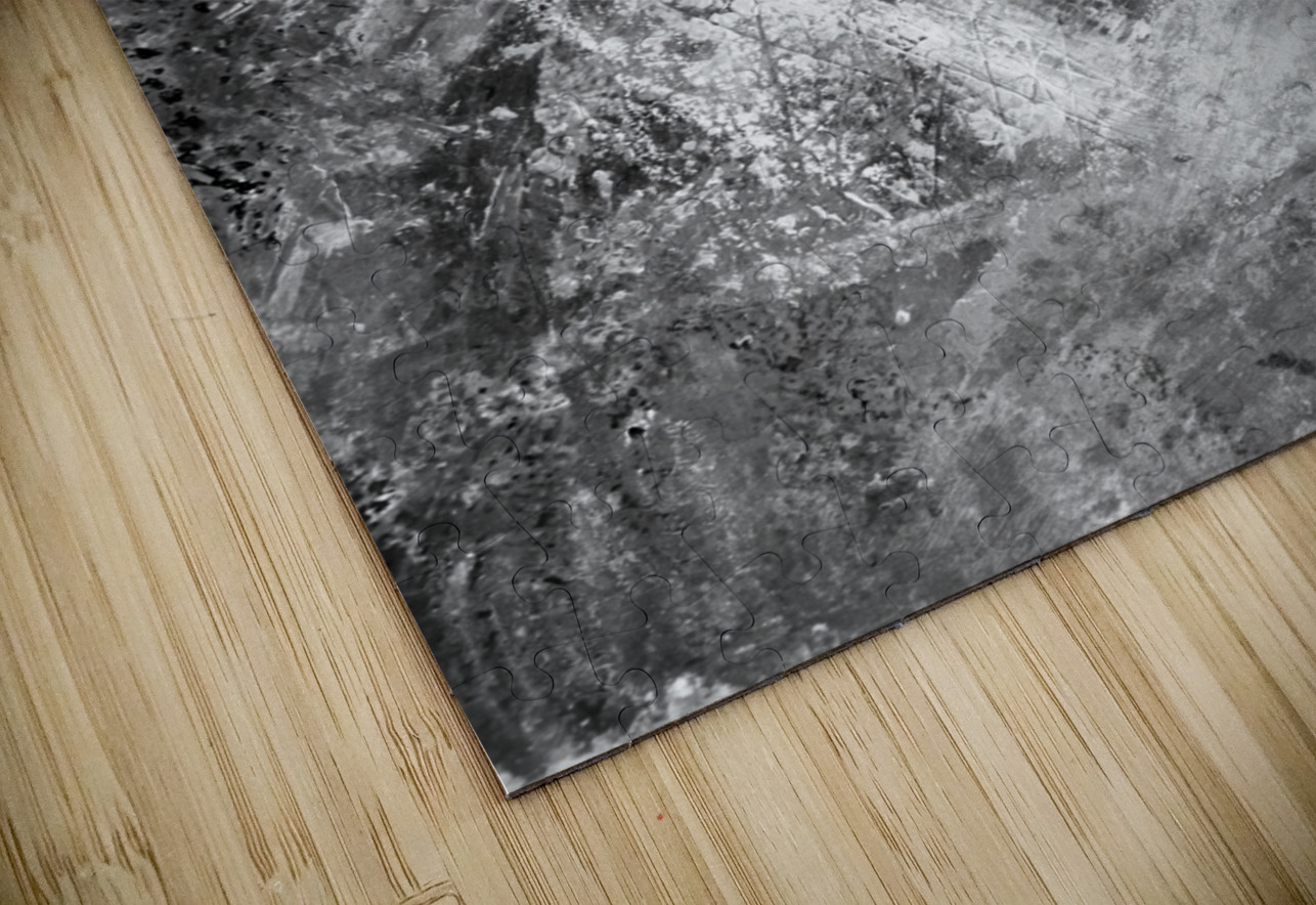 Heart Abstract in Black and White  Iris H Richardson Puzzle