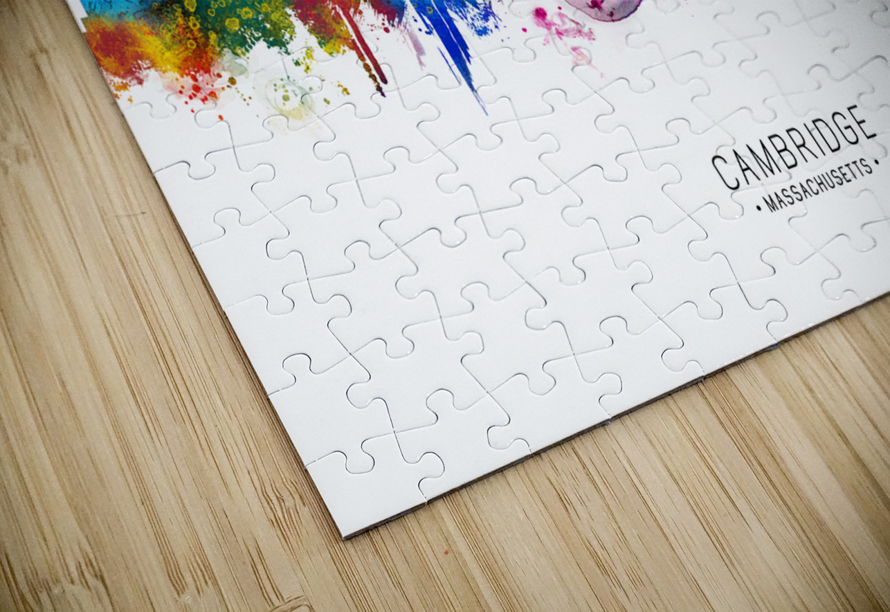 Cambridge USA Skyline Towseef Dar Puzzle