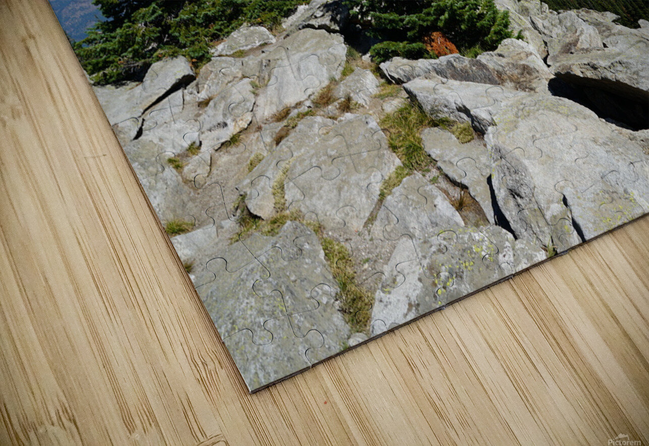 Washington Denise Thrasher Puzzle