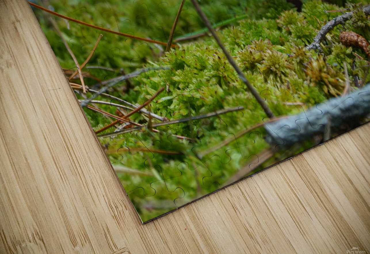 Mushroom Denise Thrasher Puzzle