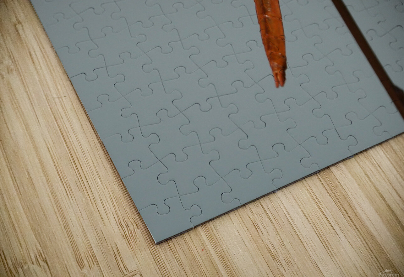 Dragonfly Denise Thrasher Puzzle