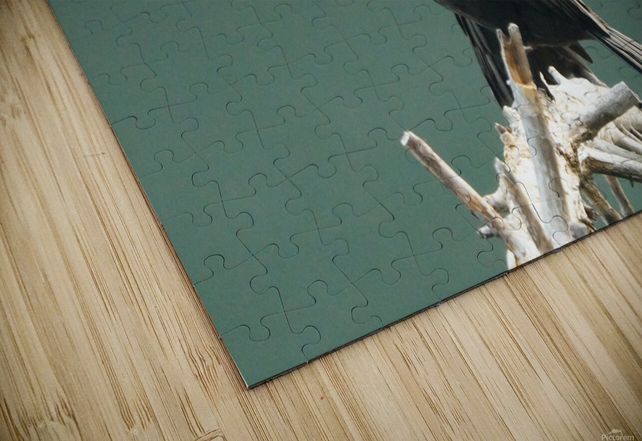 Mirror Denise Thrasher Puzzle