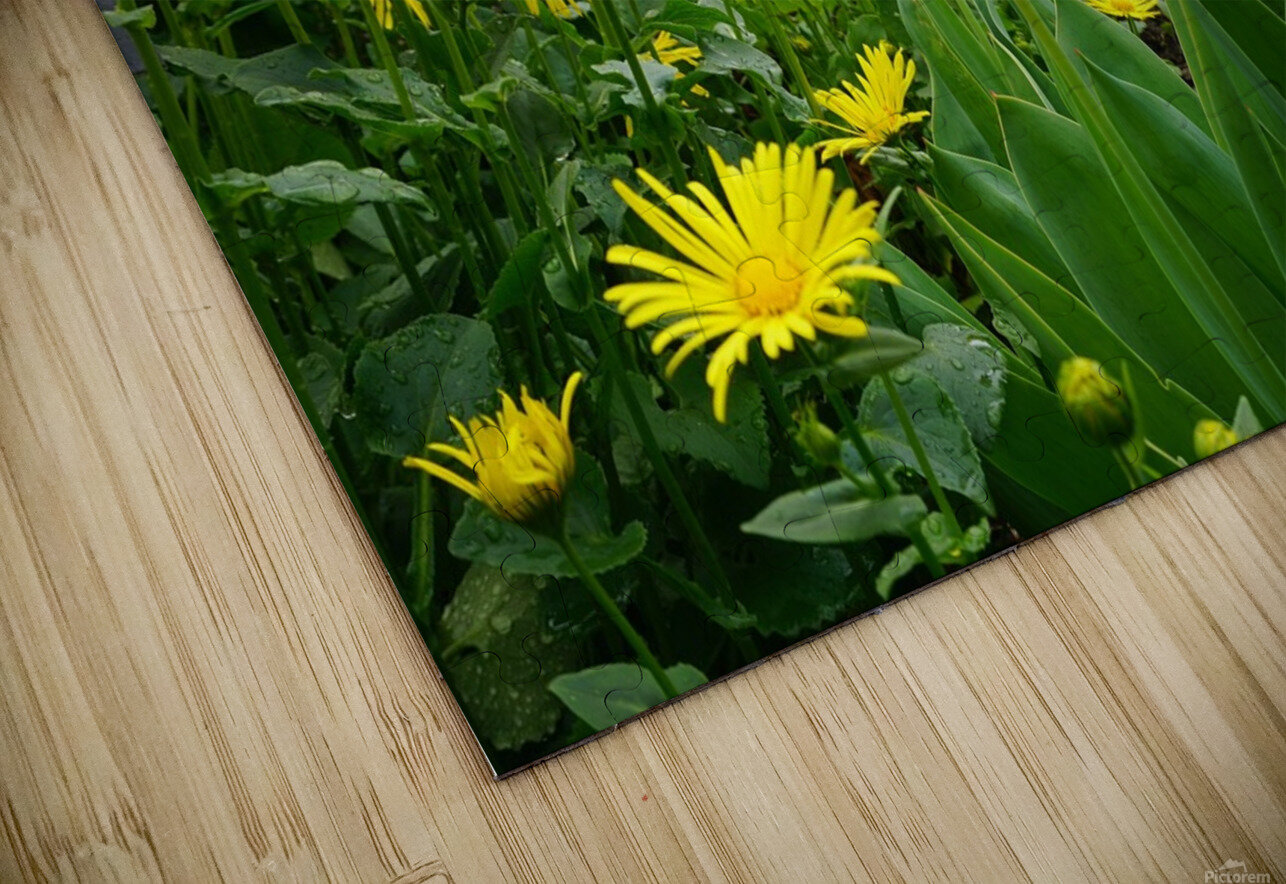 Flower Garden Denise Thrasher Puzzle