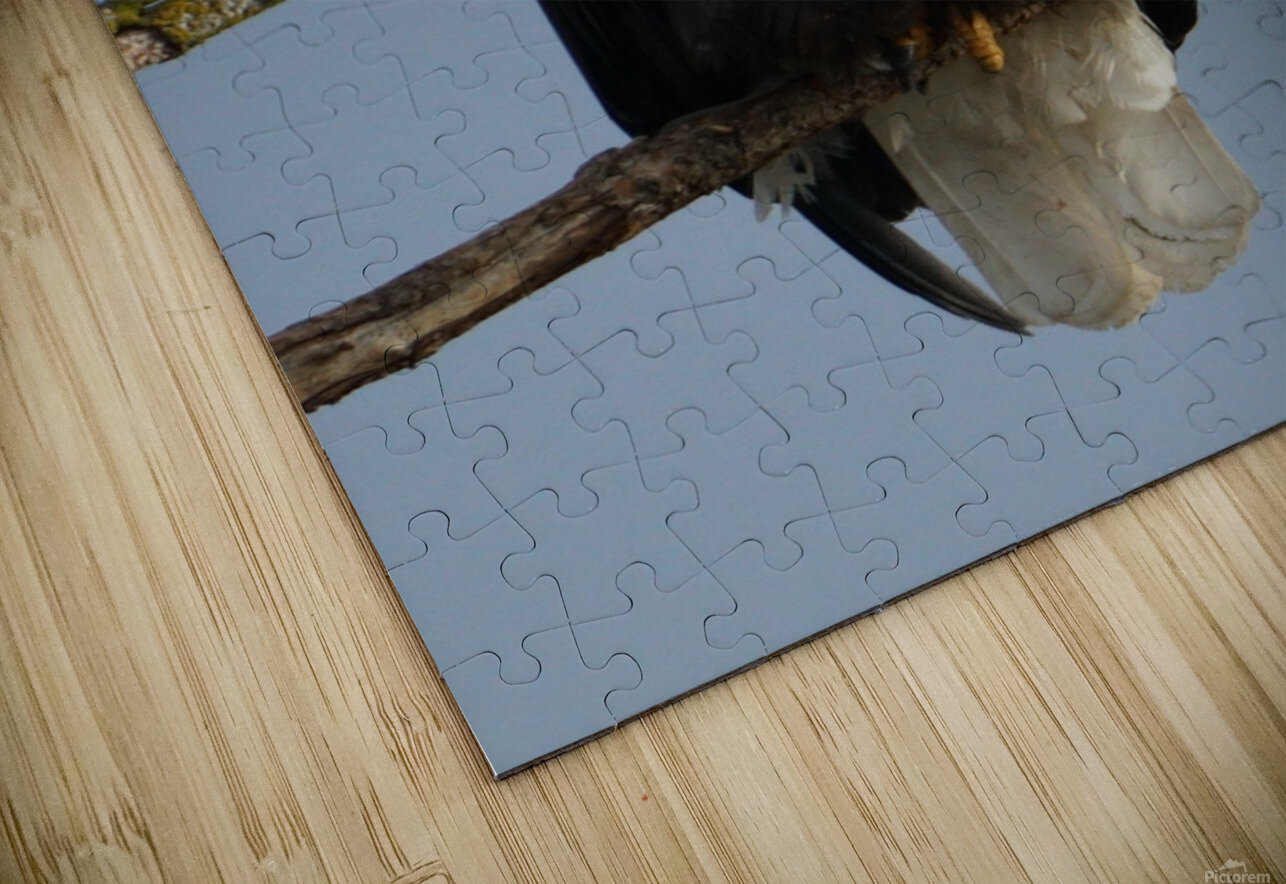 Eagle Perch Denise Thrasher Puzzle