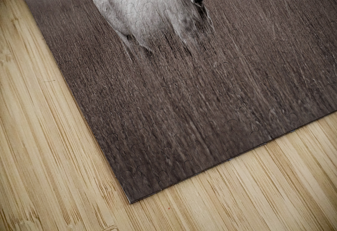 Longhorn Trey Neal  Natures Wildscapes Puzzle