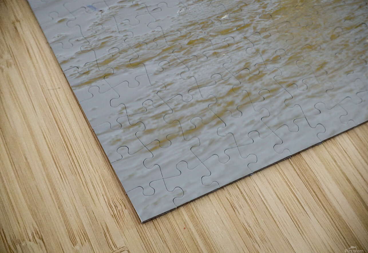 Birds Denise Thrasher Puzzle