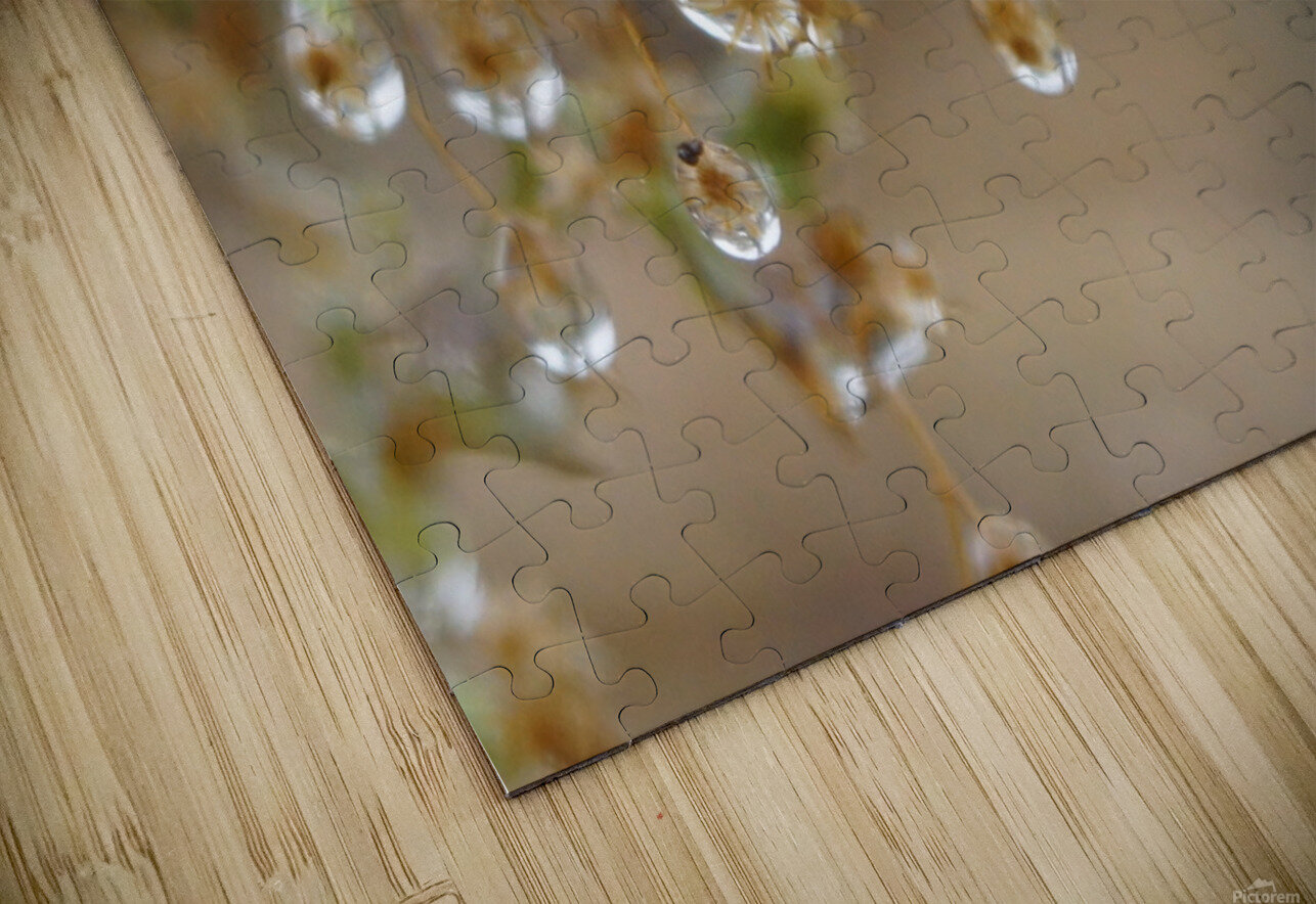 Dewy Morning Denise Thrasher Puzzle