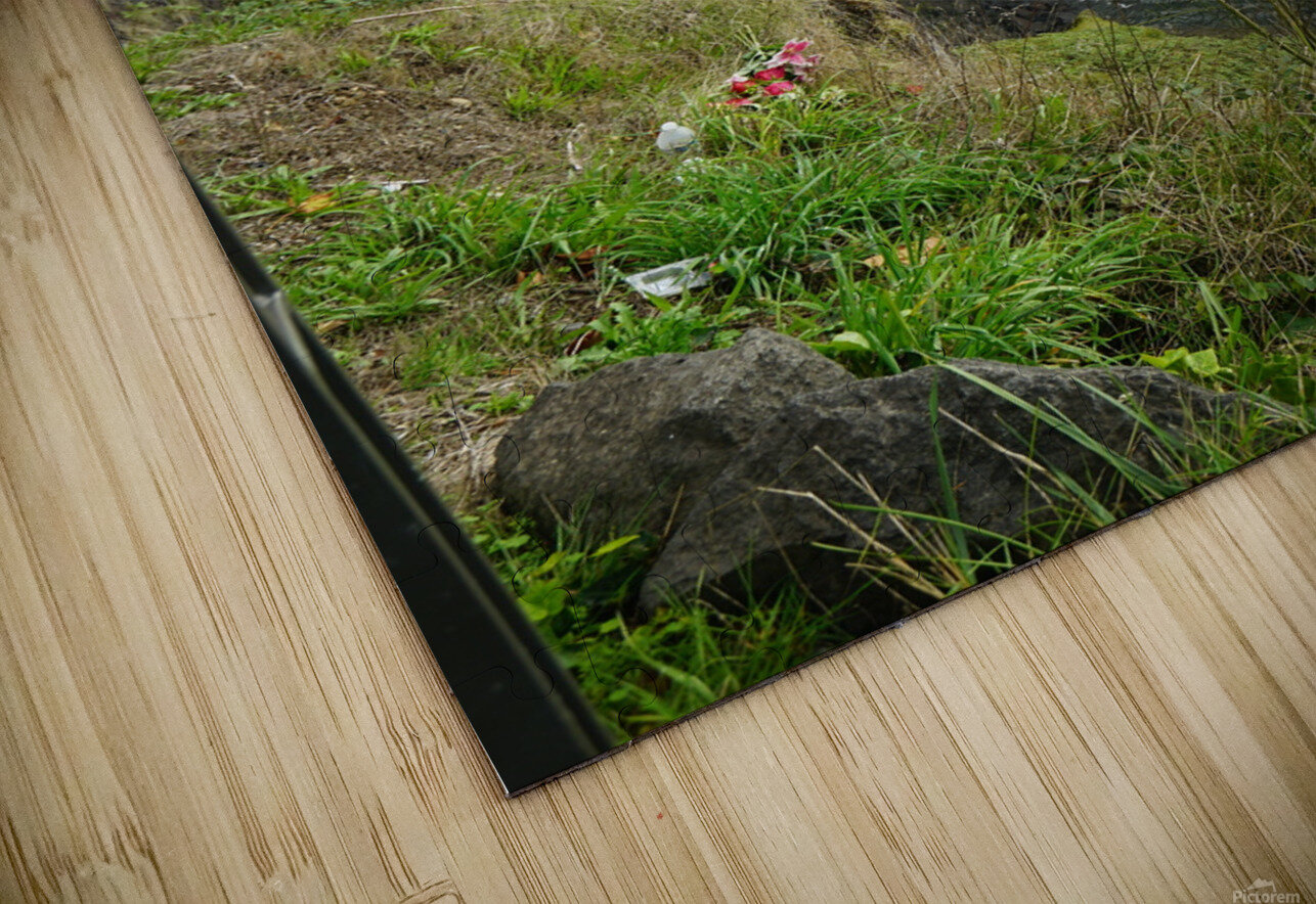 Snoqualmie Falls Denise Thrasher Puzzle