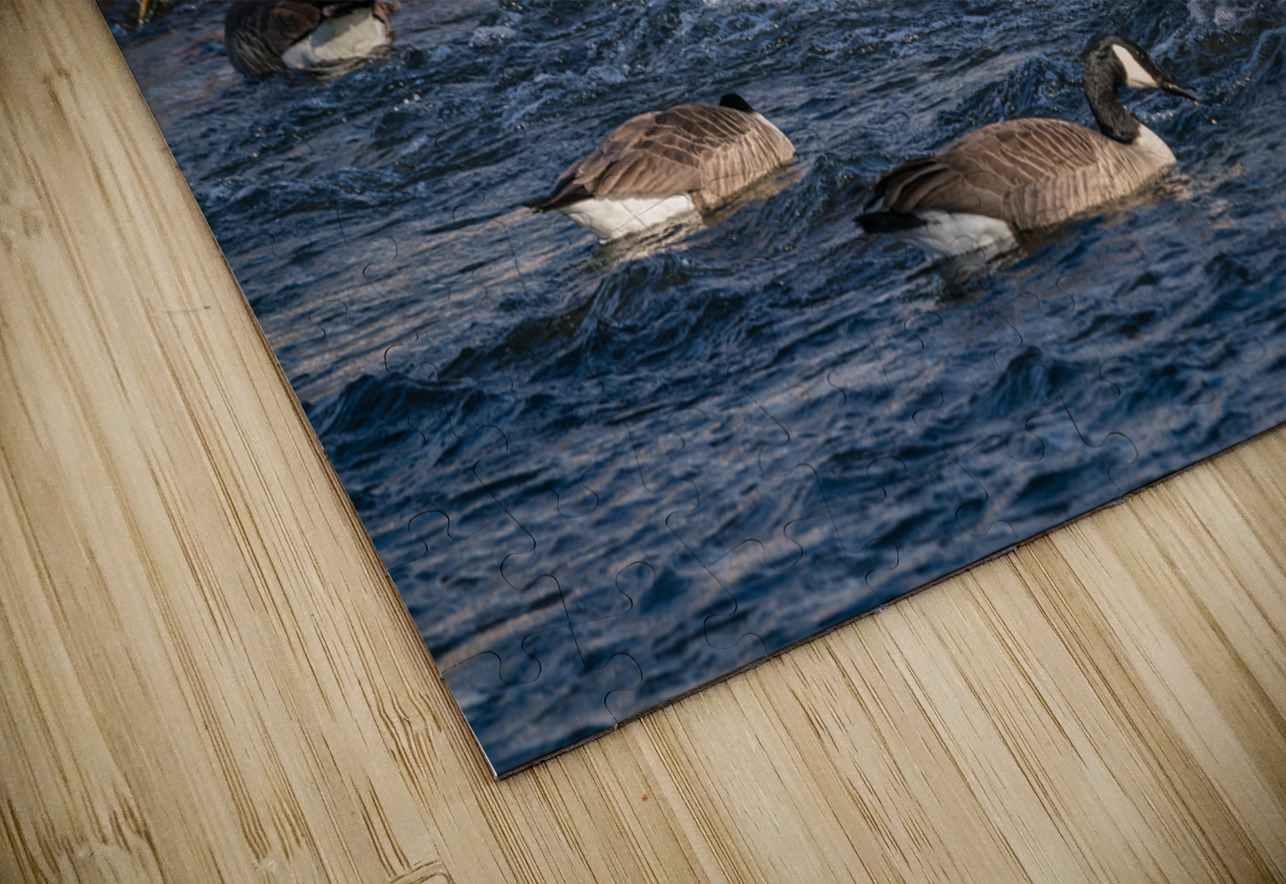 Canada Geese And Rapids Jennifer White Puzzle