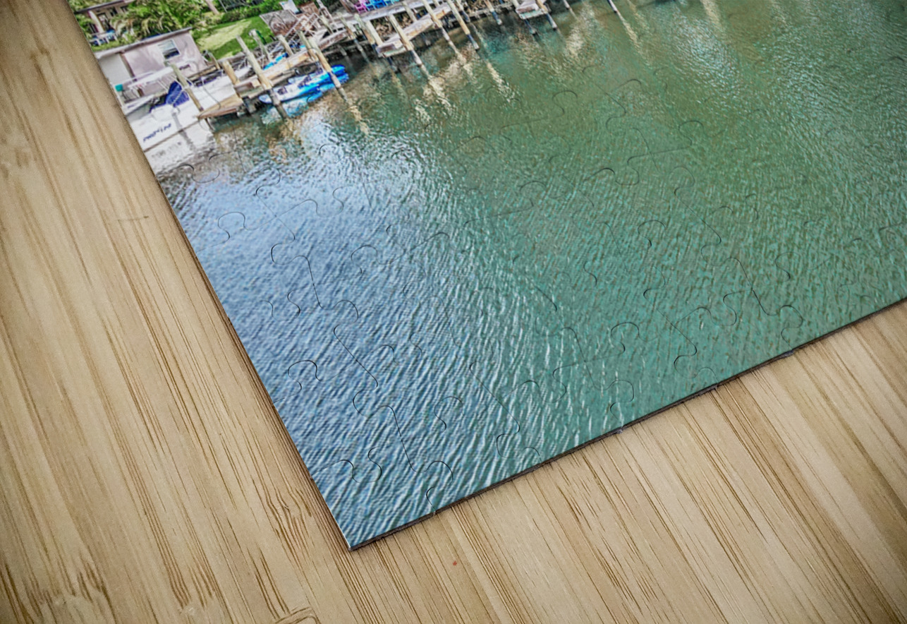 Guanabanas JANIce Puzzle