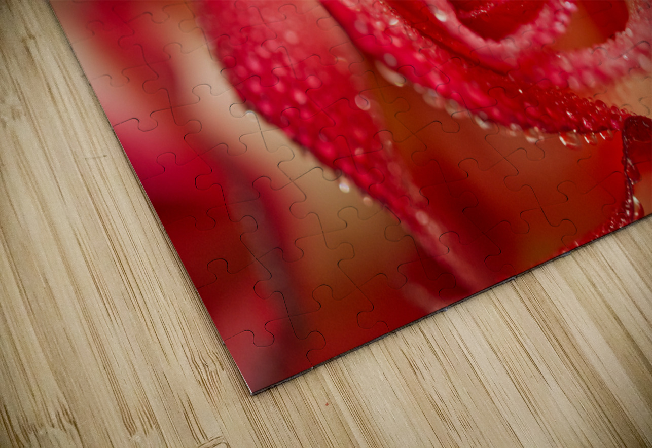 Red Blush Rose Macro III Iris H Richardson Puzzle