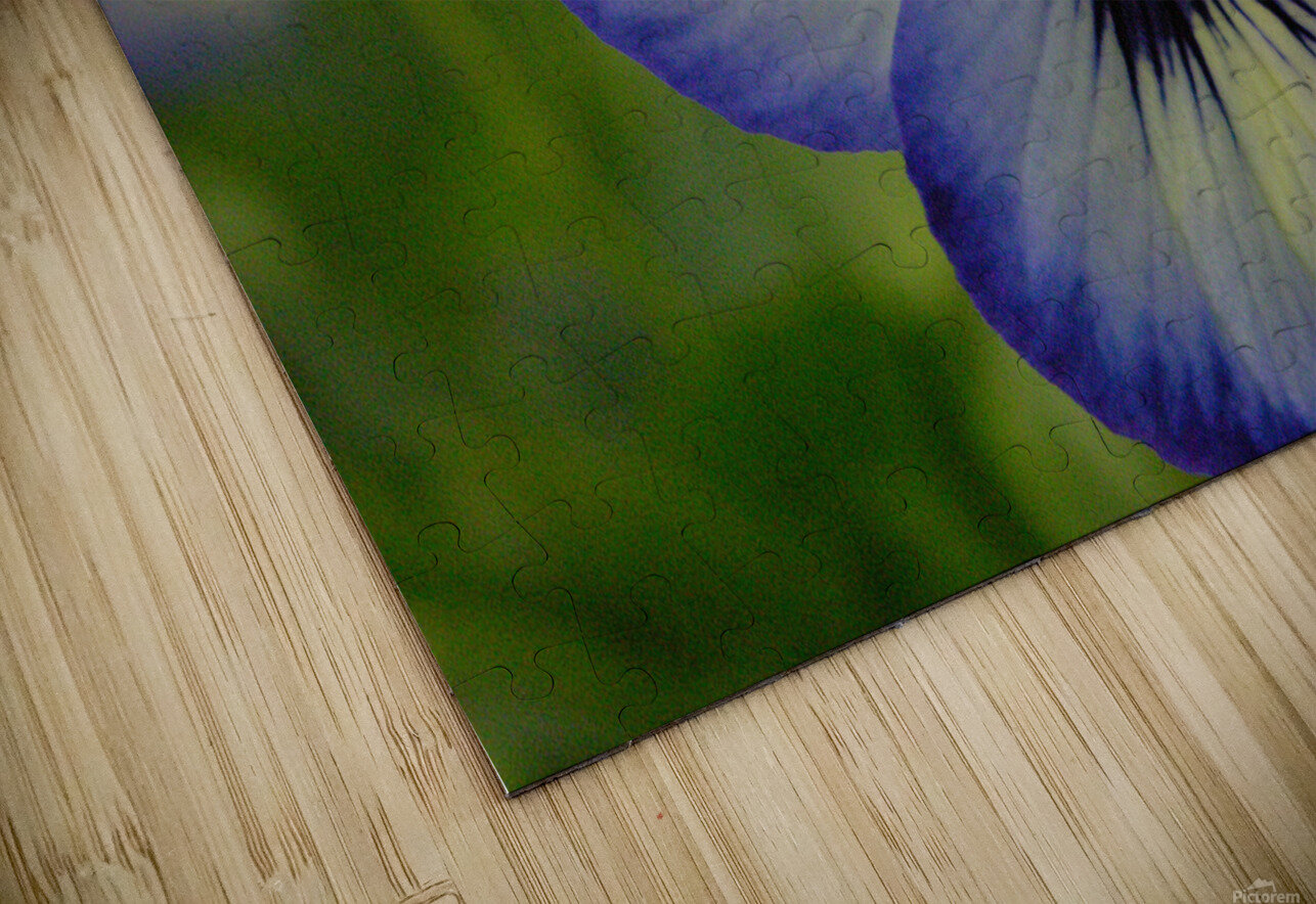 Blue Pansy Katherine Lindsey Photography Puzzle