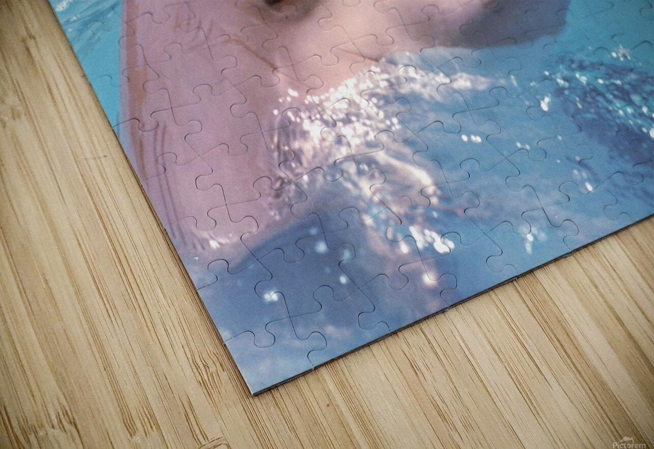 Dolphin Katherine Lindsey Photography Puzzle