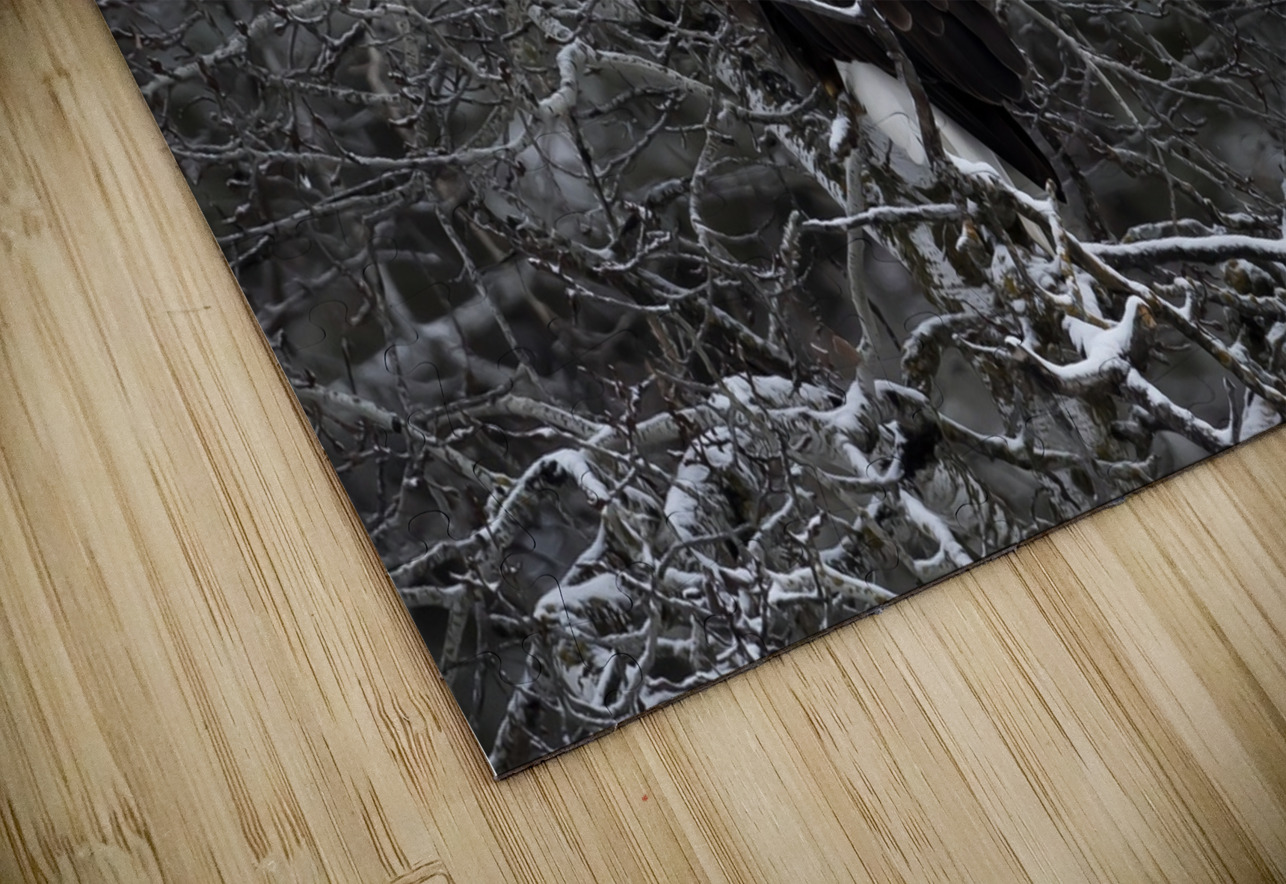 DESPERADO - The Eagle Kevin Smith Puzzle