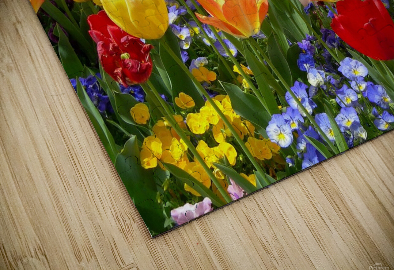 Tulip Garden Katherine Lindsey Photography Puzzle