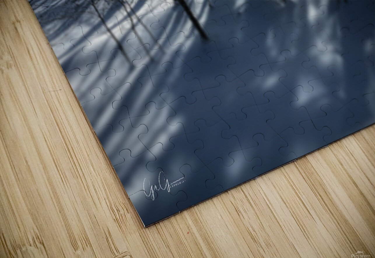 Saint-Anne-des-Lacs Gavin Graham Puzzle