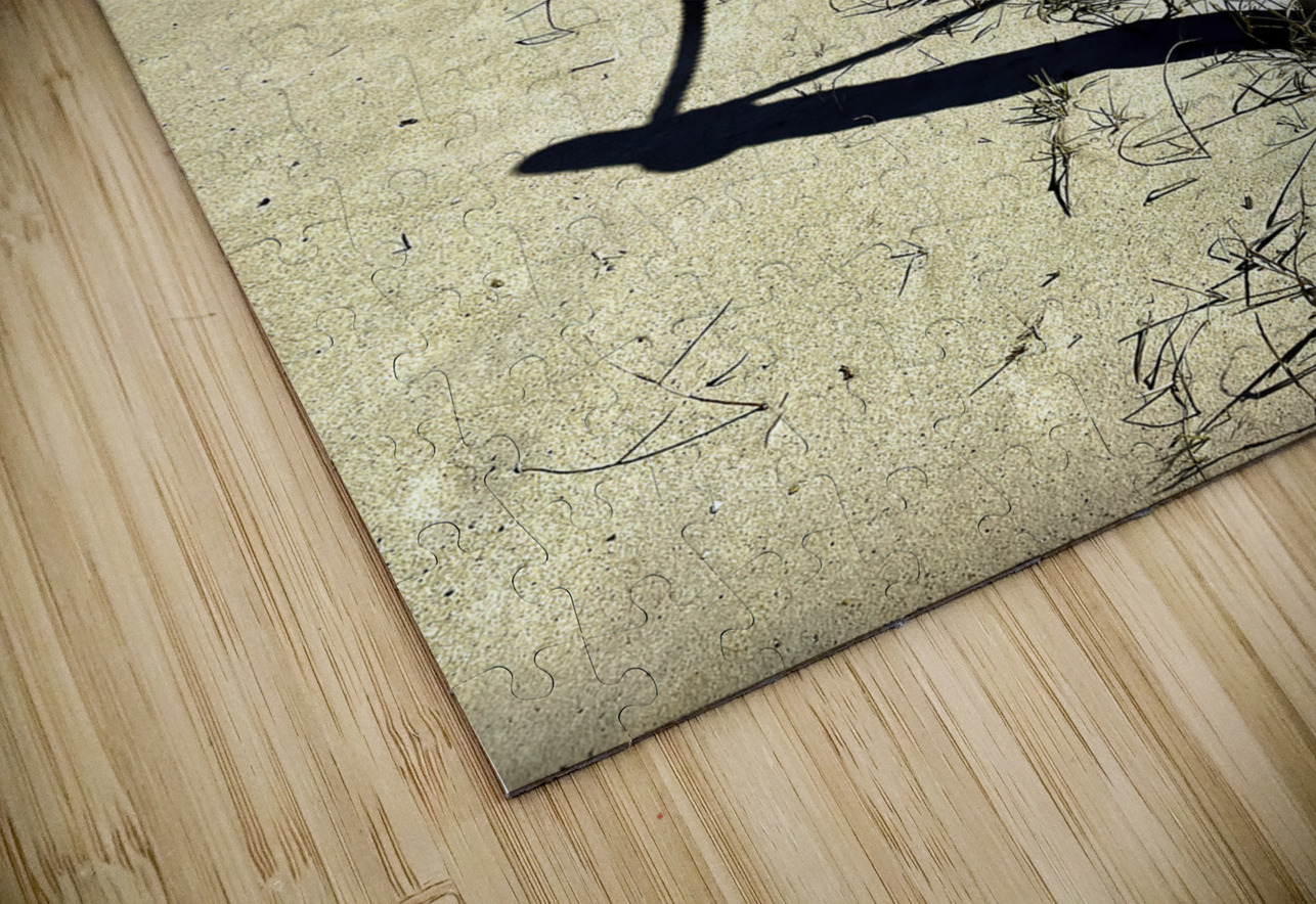 Pathway Across a Dune to the Beach Bill Swartwout Photography Puzzle