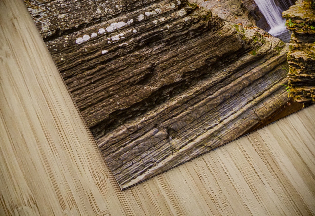 FLA 004 Rafael Puzzle