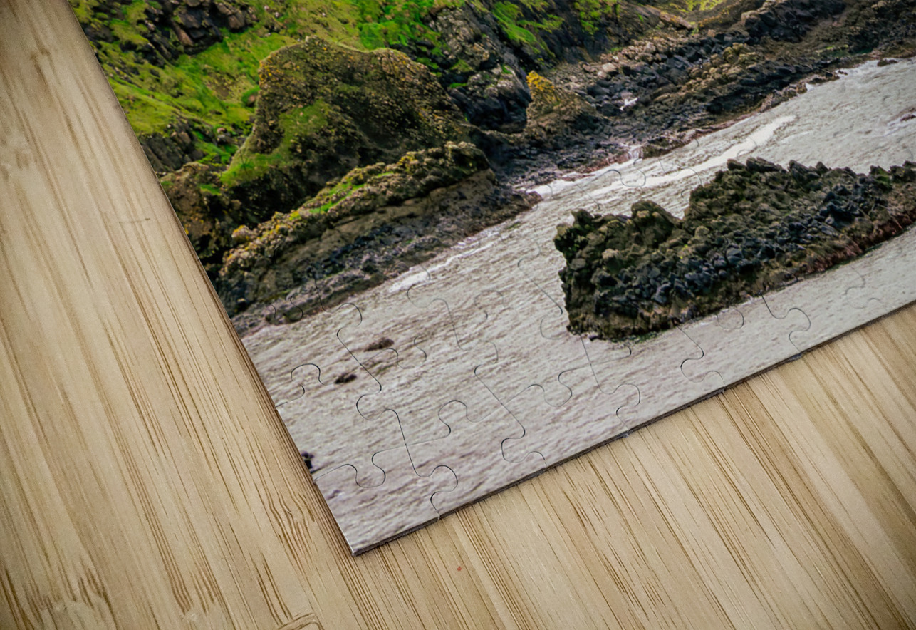 IRL 023 Rafael Puzzle