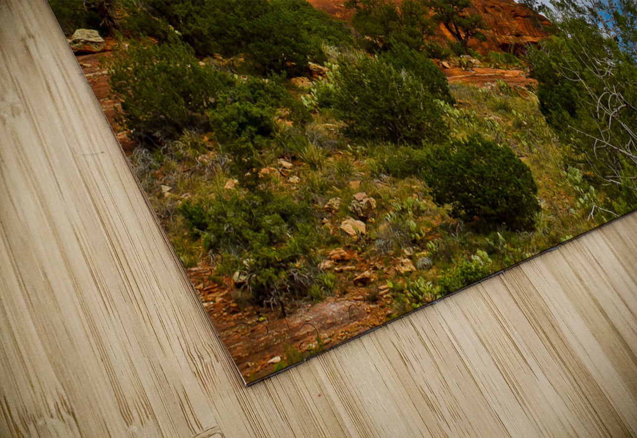 Arizona walking around Sedona 22 Tony Lacroix Puzzle