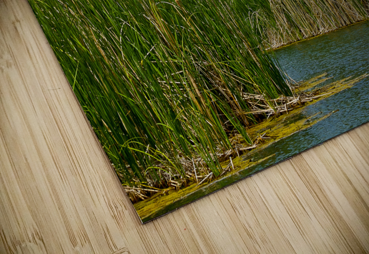 Arizona walking around Sedona 4 Tony Lacroix Puzzle