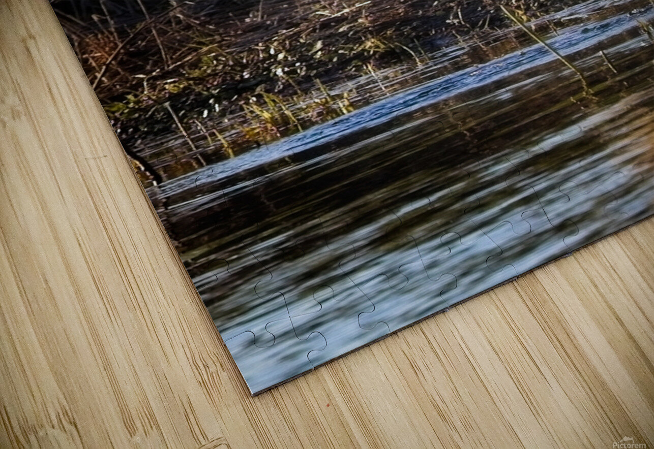 GreatBlueHeron David E Francey Photography Puzzle