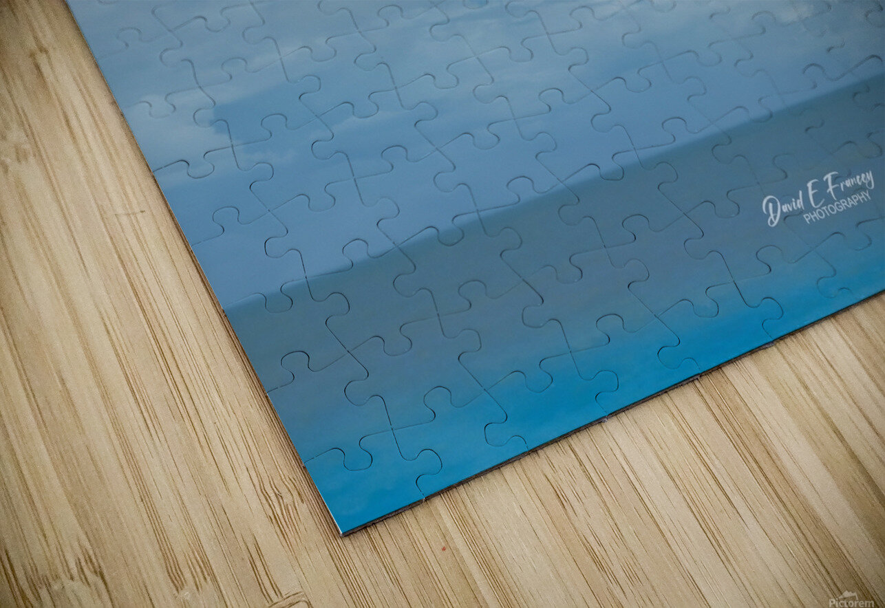 Pelican3 David E Francey Photography Puzzle