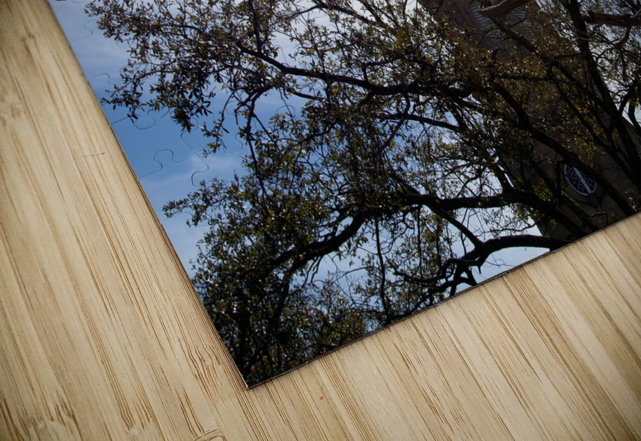 St Philips 2 Reggie S Puzzle