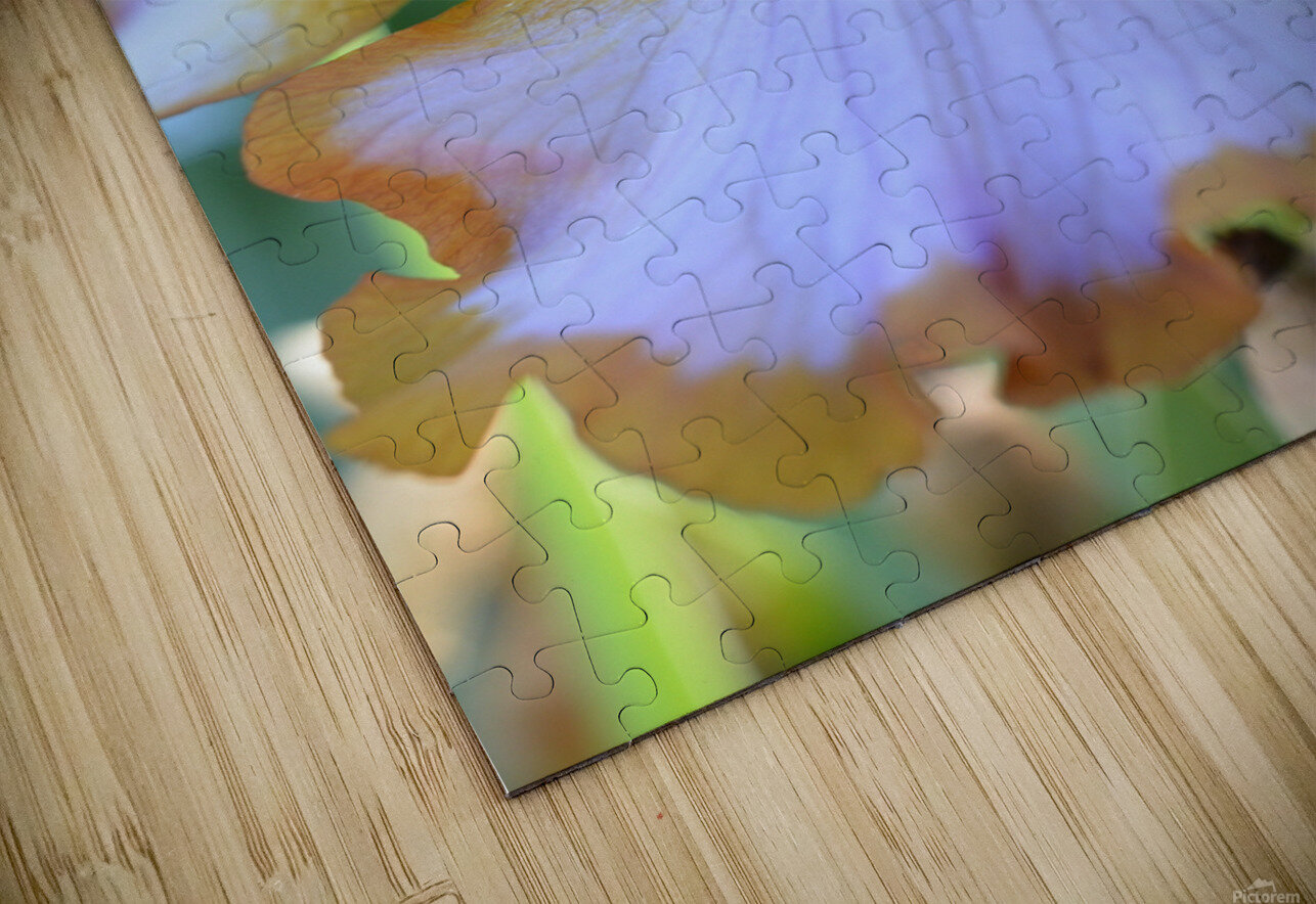 Orange Iris Katherine Lindsey Photography Puzzle