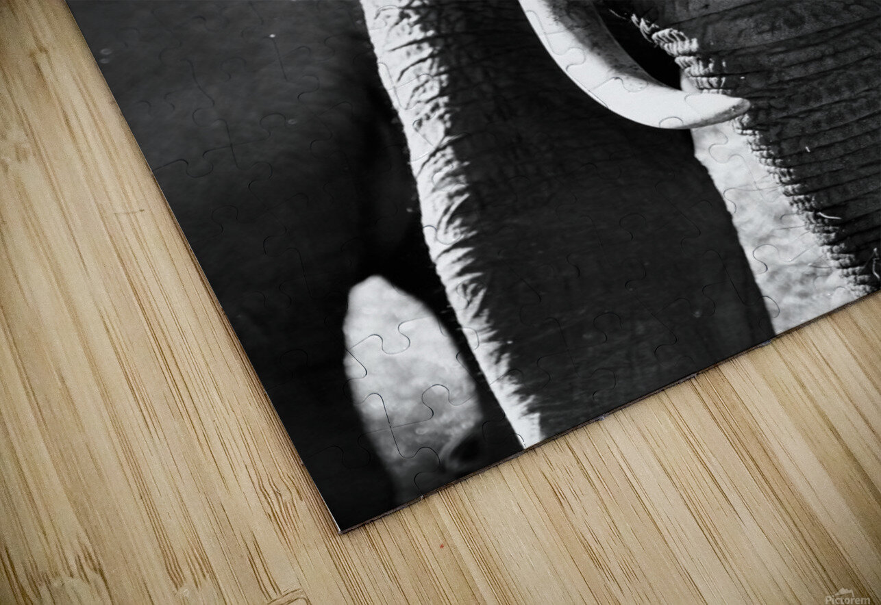 DSC 7276 Gary Leigh Brown Puzzle