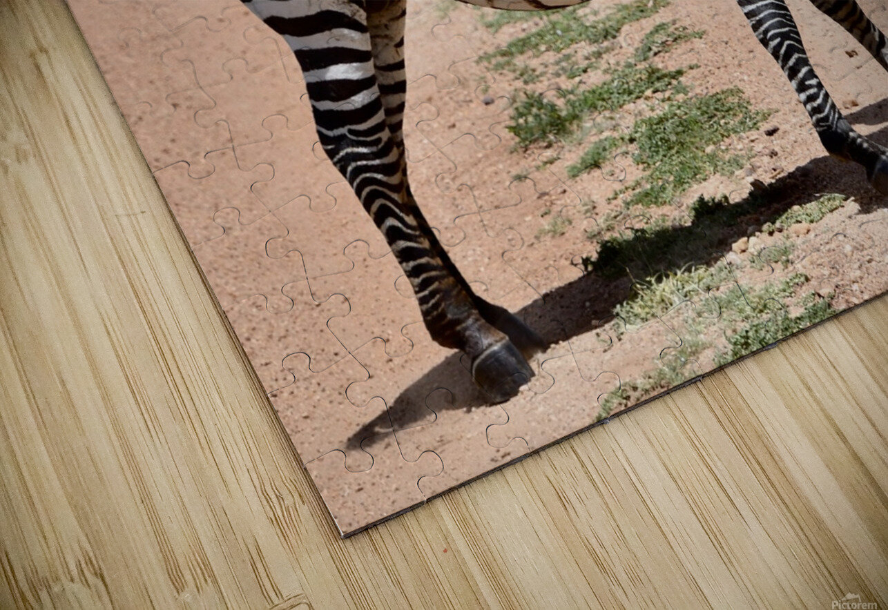 DSC 7332 Gary Leigh Brown Puzzle