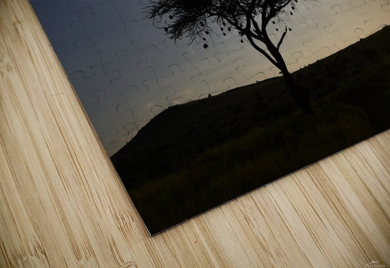 DSC 7211 Gary Leigh Brown Puzzle