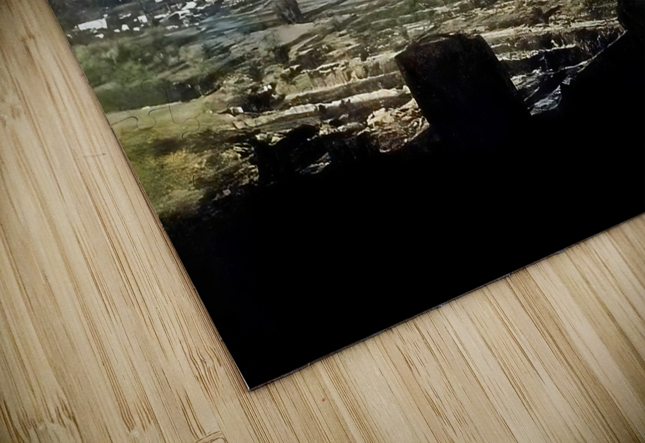 1950s tucson art Row One Brand Puzzle