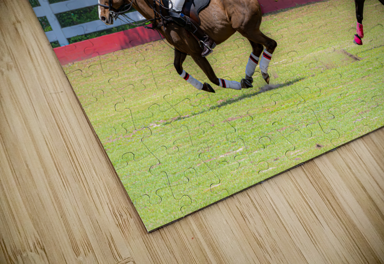 BZ9 2607 Enhanced NR Susan Lynn Cooke Puzzle