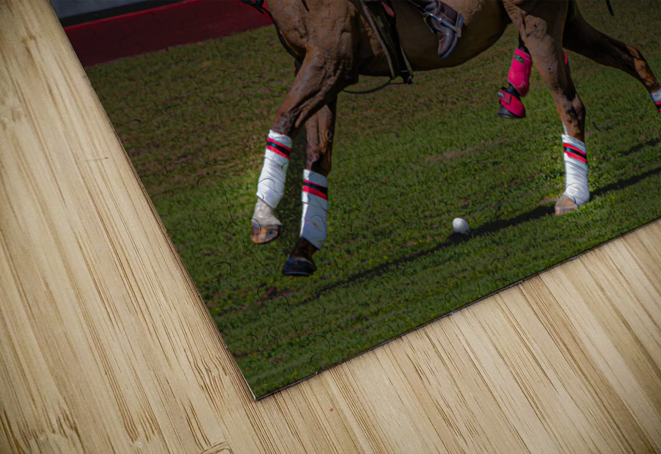 BZ9 2622 Enhanced NR Susan Lynn Cooke Puzzle