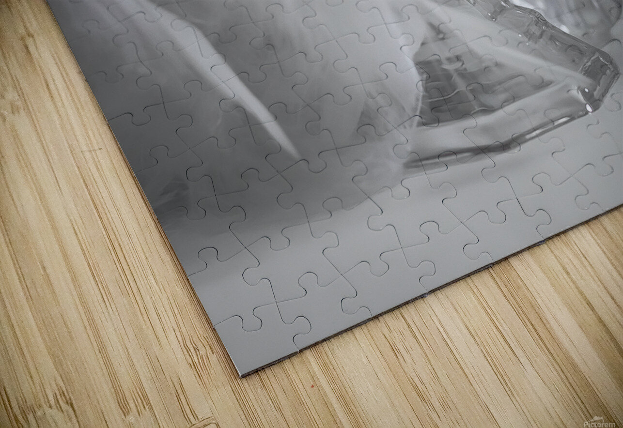 CASTLE OF GLASS laGraceStudios Puzzle