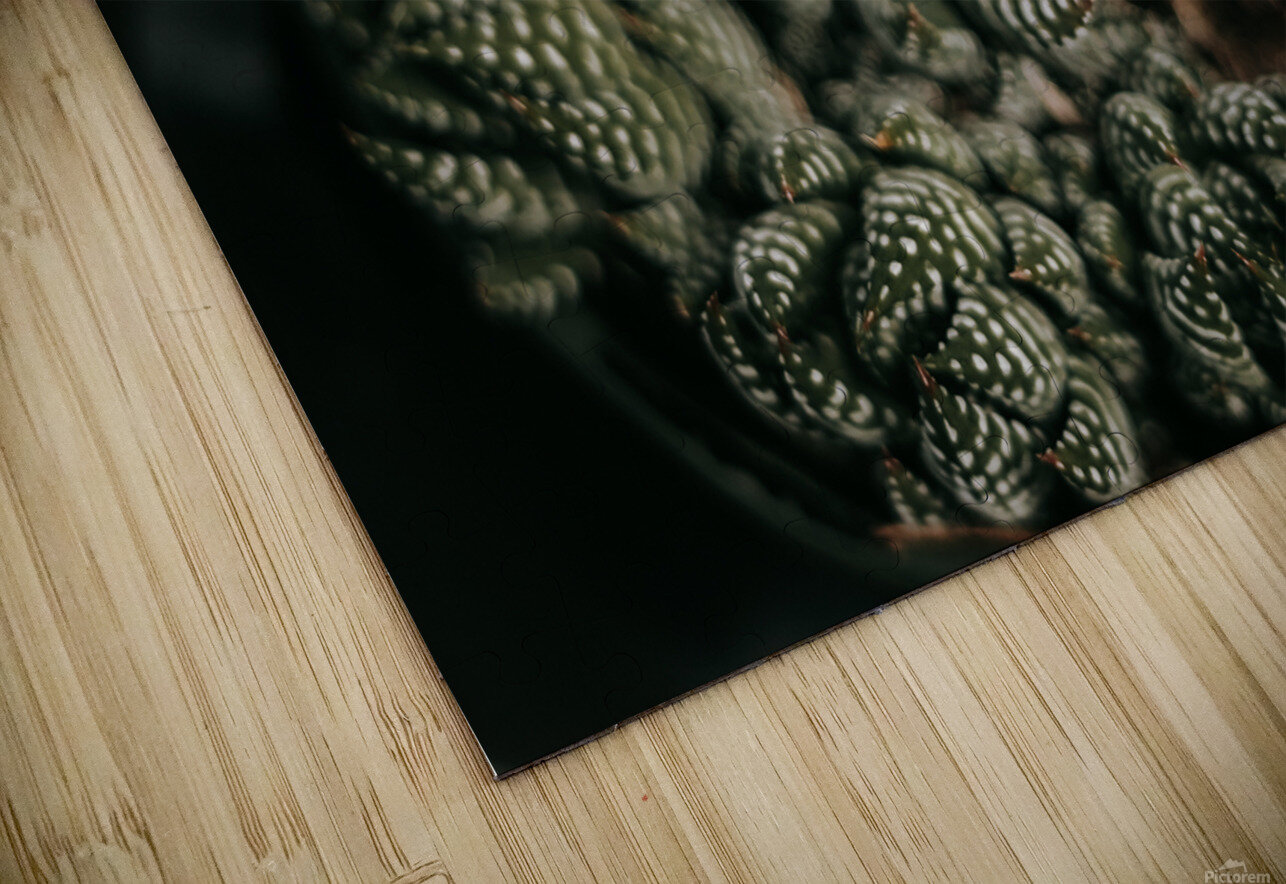 PHYTOLOGICAL_101 laGraceStudios Puzzle