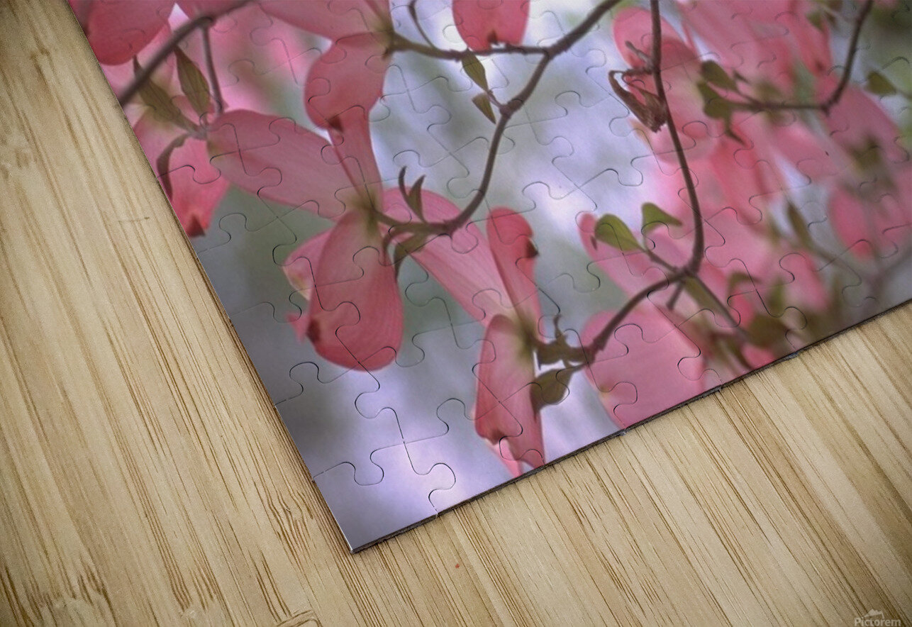 Pink Dogwoods Katherine Lindsey Photography Puzzle