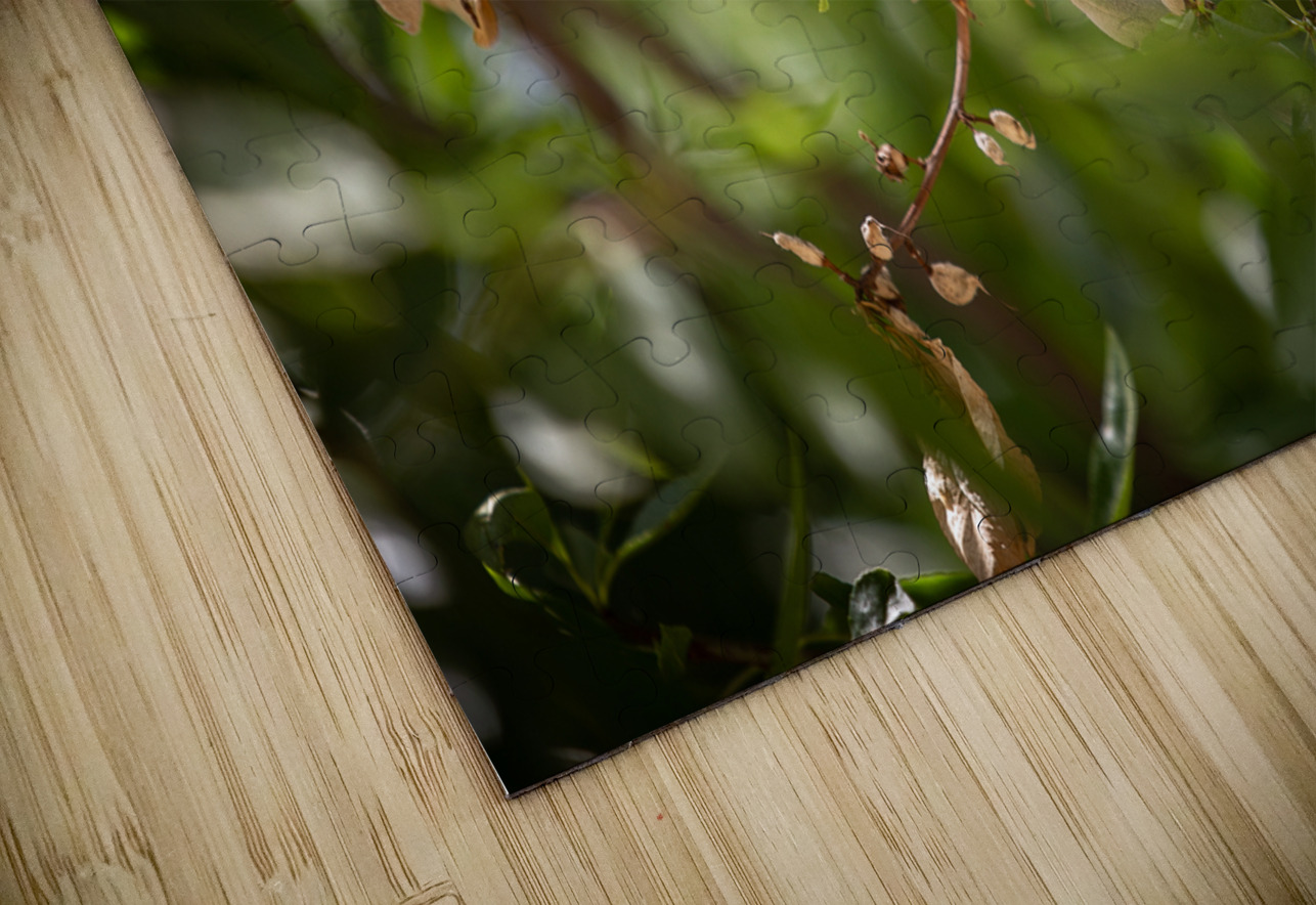 PIC17054 YoelKoskasFineArt Puzzle