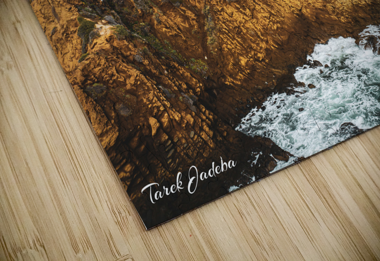 Laguna Beach EYES IN THE SKY Puzzle