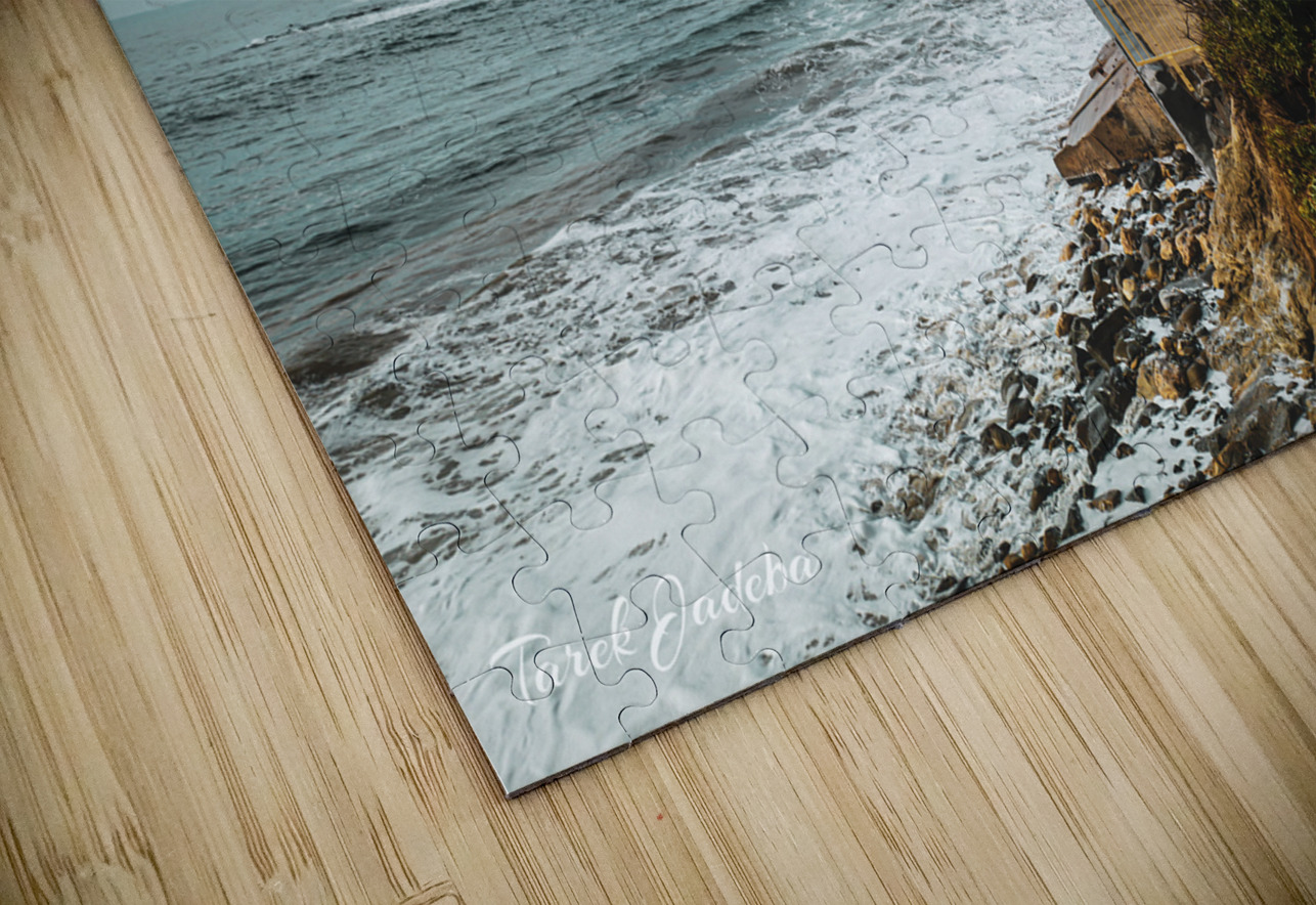 Laguna Beach EYES IN THE SKY Puzzle