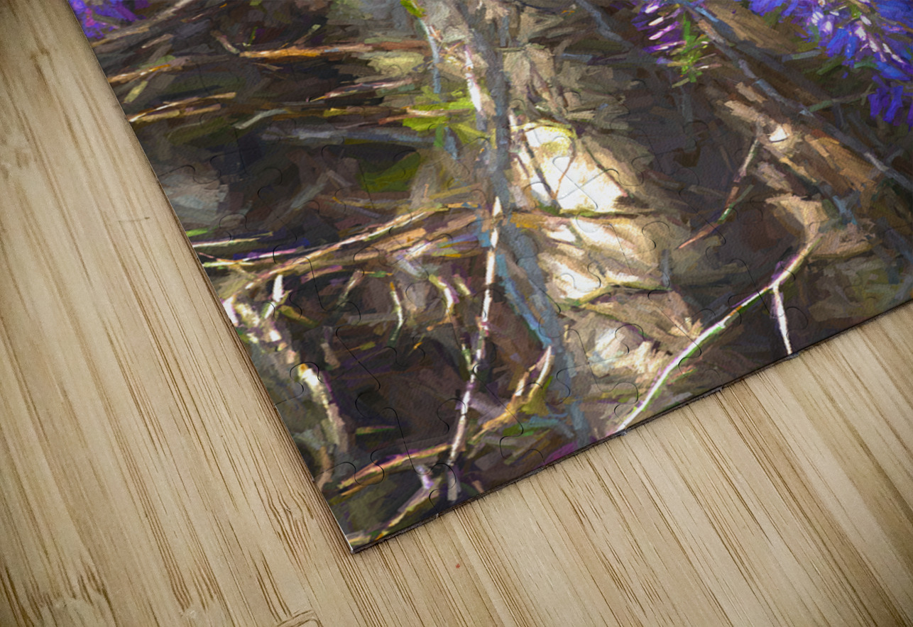 DSC 2636 studio Elizabeth Lima Images Puzzle