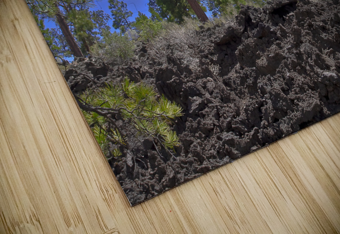 Sunset Crater Volcano National Monument AZ 46 36. Tony Lacroix Puzzle