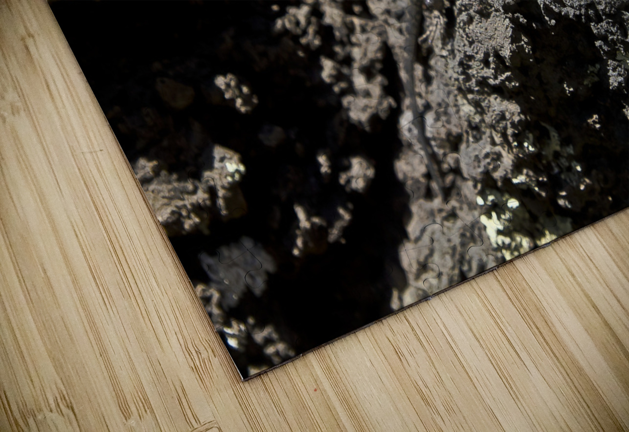 Sunset Crater Volcano National Monument AZ 46 11. Tony Lacroix Puzzle