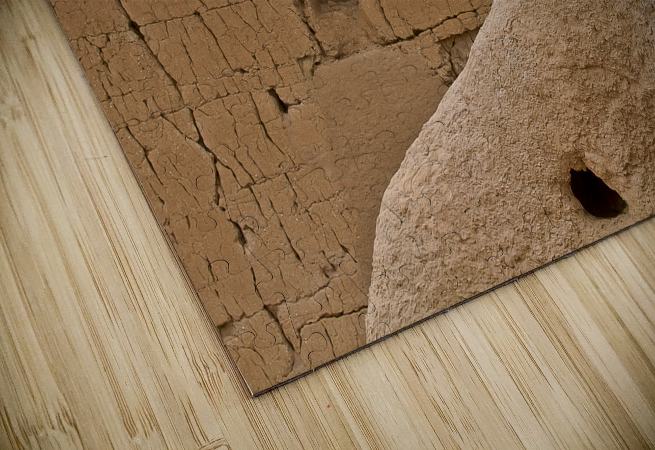 Casa Grande Ruins National Monument AZ 66 Tony Lacroix Puzzle