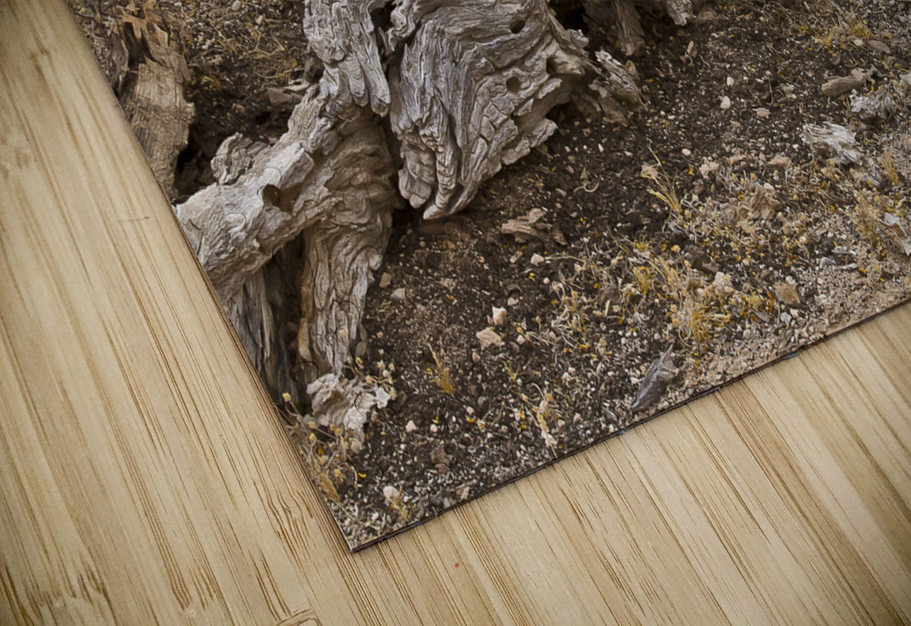 Casa Grande Ruins National Monument AZ 72 Tony Lacroix Puzzle