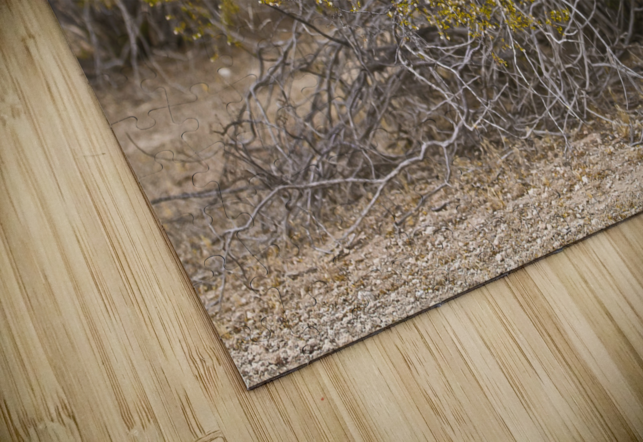 Casa Grande Ruins National Monument AZ 105 Tony Lacroix Puzzle