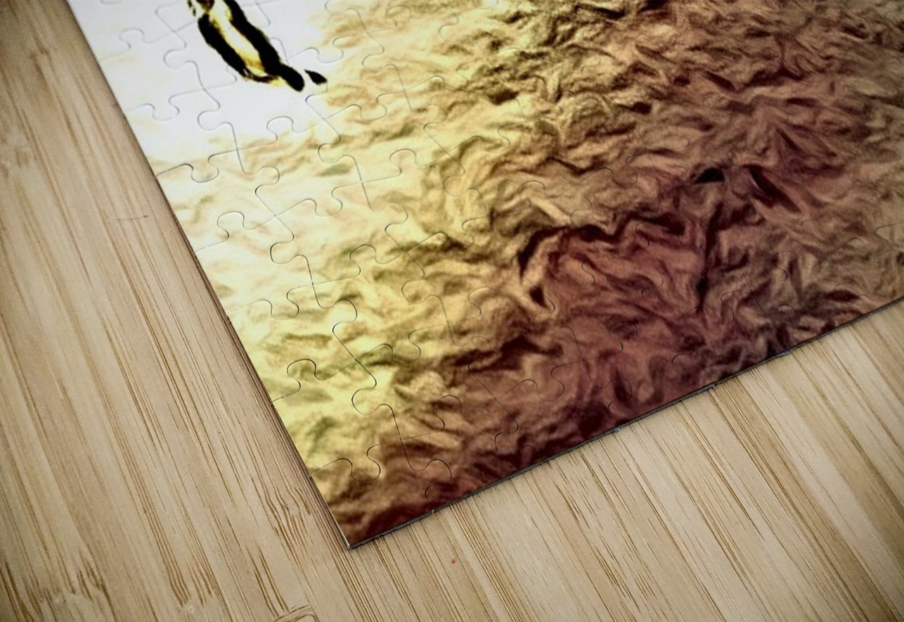 FIGURE CELEBRATE BROWN Luciano Puzzle